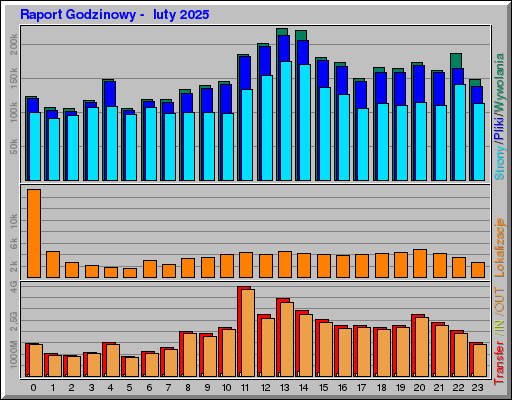 Raport Godzinowy -  luty 2025