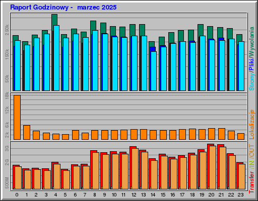 Raport Godzinowy -  marzec 2025