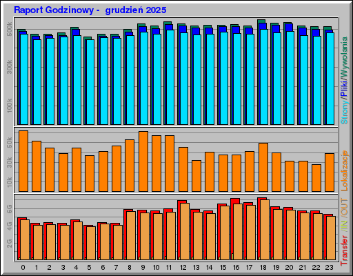 Raport Godzinowy -  grudzień 2025