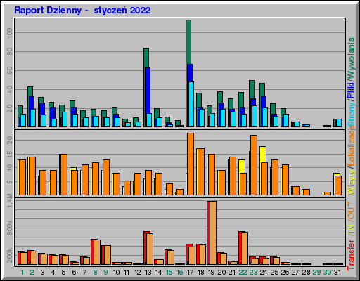 Raport Dzienny -  styczeń 2022