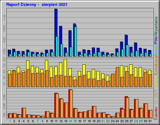 Raport Dzienny -  sierpień 2021