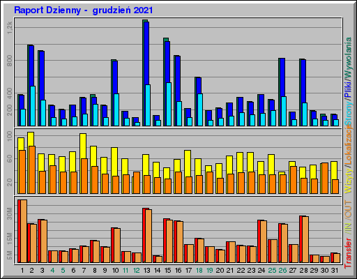 Raport Dzienny -  grudzień 2021