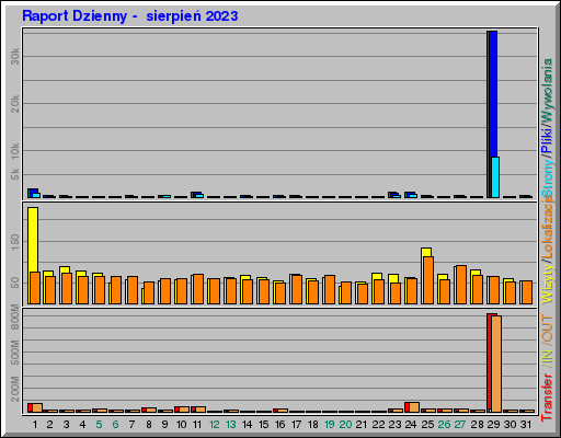 Raport Dzienny -  sierpień 2023