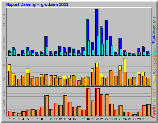 Raport Dzienny -  grudzień 2023