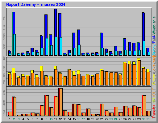 Raport Dzienny -  marzec 2024