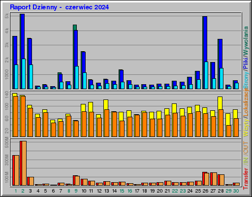 Raport Dzienny -  czerwiec 2024