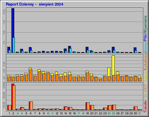 Raport Dzienny -  sierpień 2024