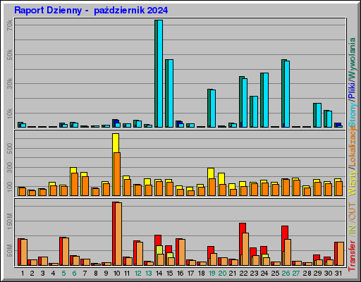 Raport Dzienny -  październik 2024