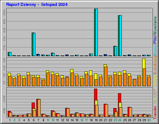 Raport Dzienny -  listopad 2024