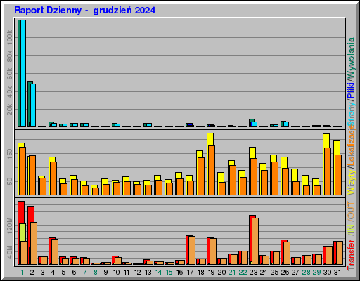 Raport Dzienny -  grudzień 2024