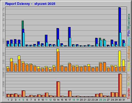Raport Dzienny -  styczeń 2025