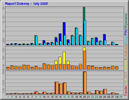Raport Dzienny -  luty 2025