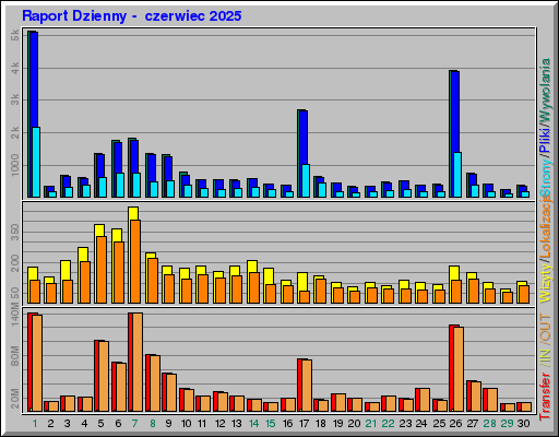 Raport Dzienny -  czerwiec 2025