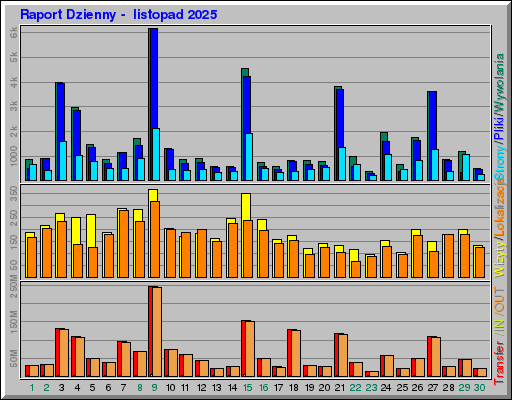 Raport Dzienny -  listopad 2025