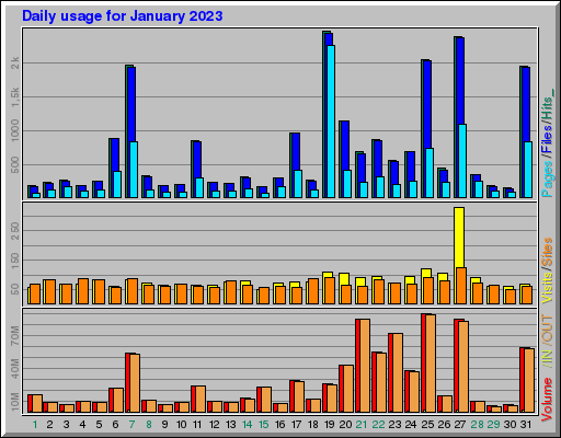 Raport Dzienny -  styczeń 2023