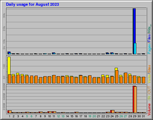 Raport Dzienny -  sierpień 2023