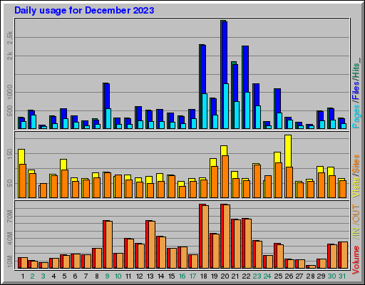 Raport Dzienny -  grudzień 2023