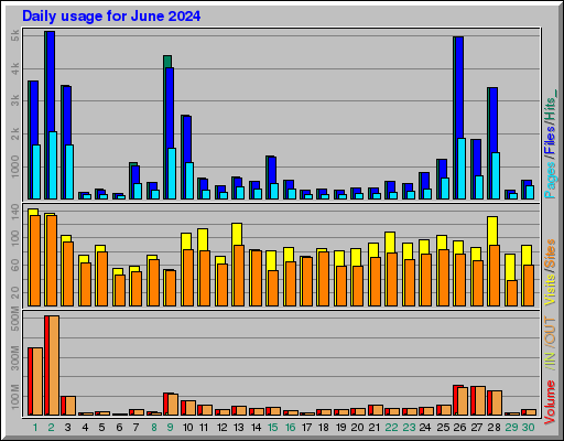Raport Dzienny -  czerwiec 2024