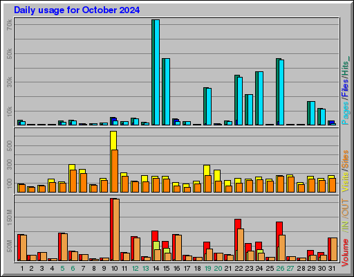 Raport Dzienny -  październik 2024