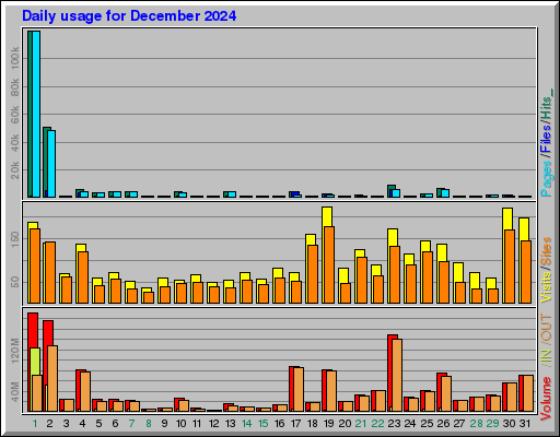 Raport Dzienny -  grudzień 2024