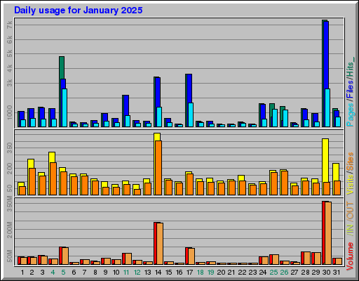 Raport Dzienny -  styczeń 2025