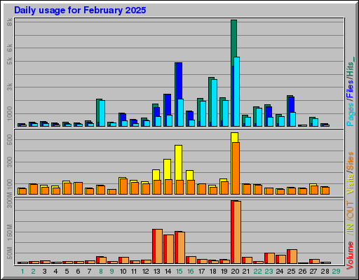 Raport Dzienny -  luty 2025