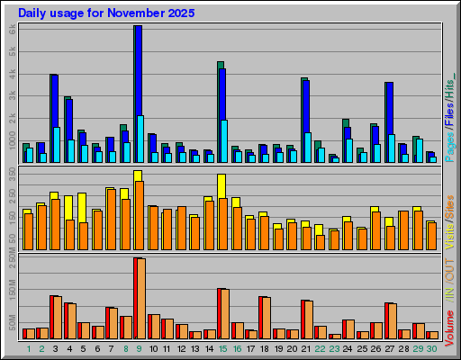Raport Dzienny -  listopad 2025