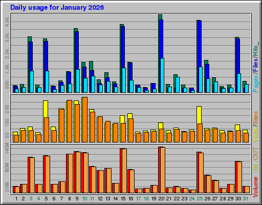 Raport Dzienny -  styczeń 2026