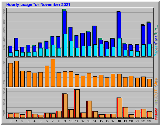 Raport Godzinowy -  listopad 2021