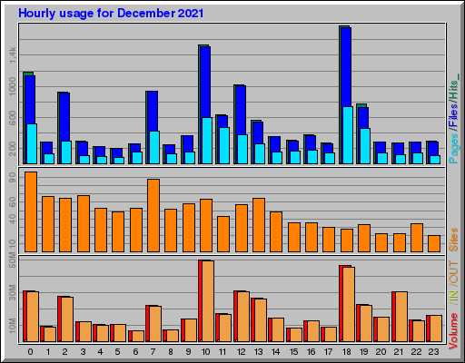 Raport Godzinowy -  grudzień 2021