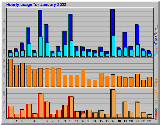 Raport Godzinowy -  styczeń 2022