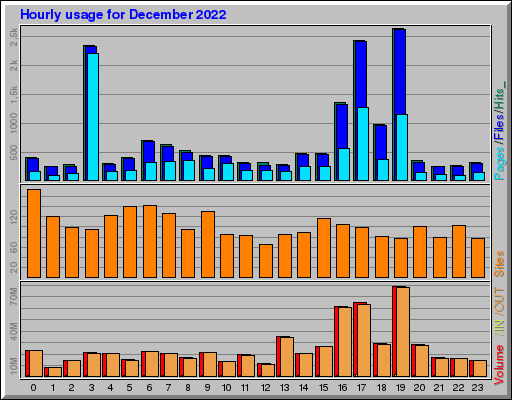 Raport Godzinowy -  grudzień 2022