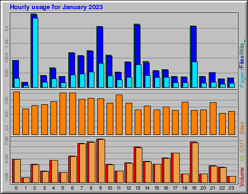 Raport Godzinowy -  styczeń 2023