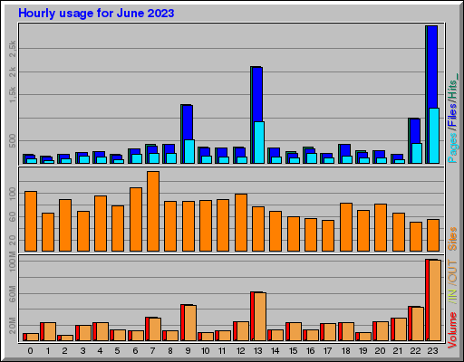Raport Godzinowy -  czerwiec 2023