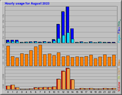 Raport Godzinowy -  sierpień 2023