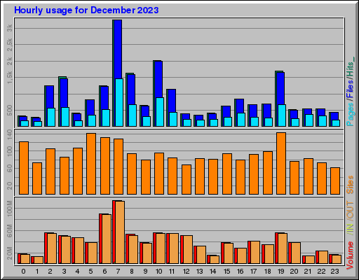 Raport Godzinowy -  grudzień 2023