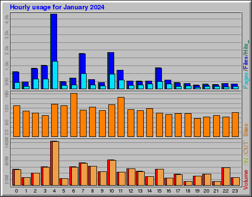 Raport Godzinowy -  styczeń 2024