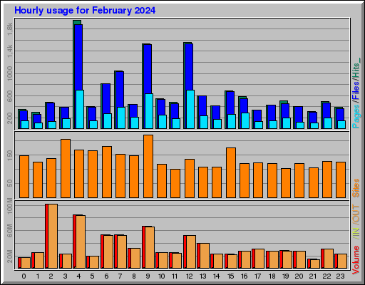 Raport Godzinowy -  luty 2024