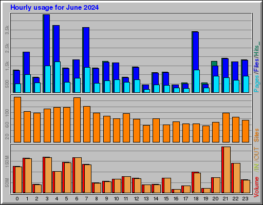 Raport Godzinowy -  czerwiec 2024