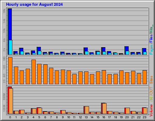 Raport Godzinowy -  sierpień 2024