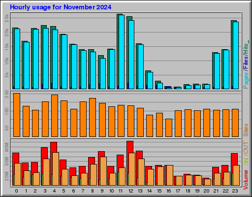 Raport Godzinowy -  listopad 2024