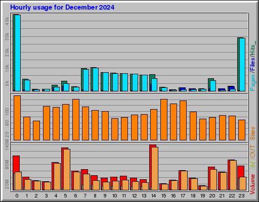 Raport Godzinowy -  grudzień 2024