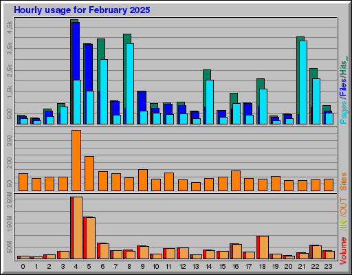 Raport Godzinowy -  luty 2025
