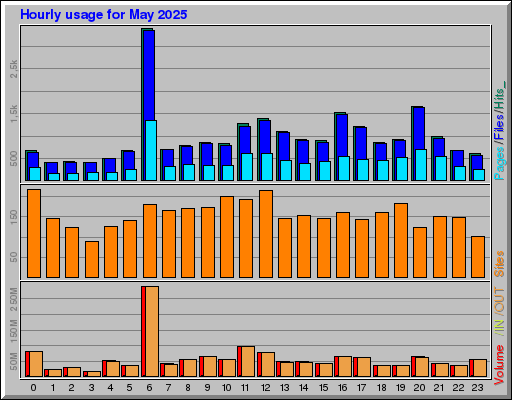 Raport Godzinowy -  Maj 2025