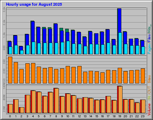 Raport Godzinowy -  sierpień 2025