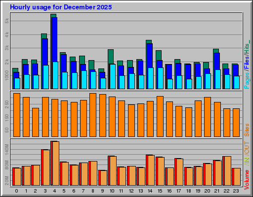 Raport Godzinowy -  grudzień 2025