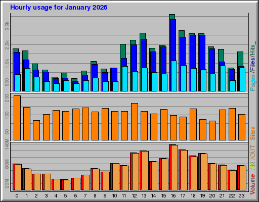 Raport Godzinowy -  styczeń 2026