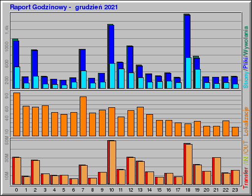 Raport Godzinowy -  grudzień 2021