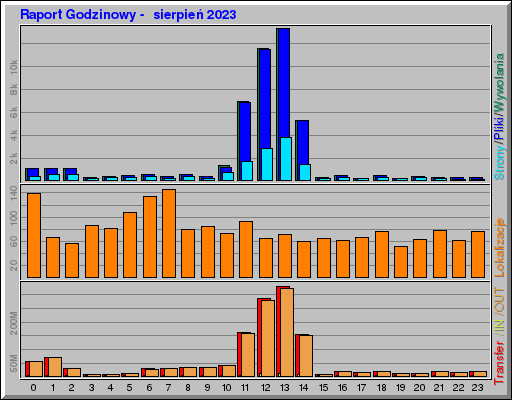 Raport Godzinowy -  sierpień 2023