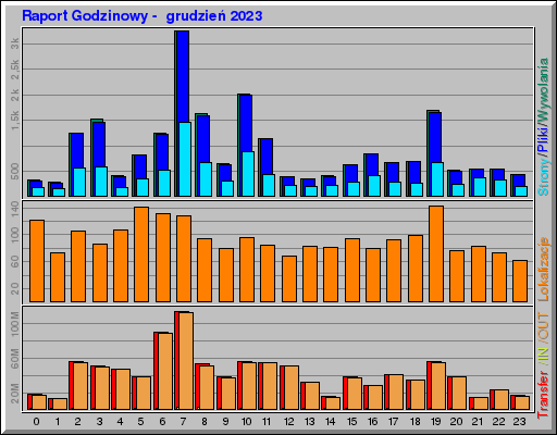 Raport Godzinowy -  grudzień 2023